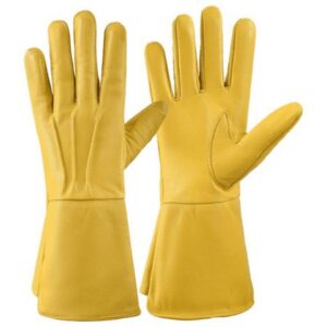 Dressing Gloves